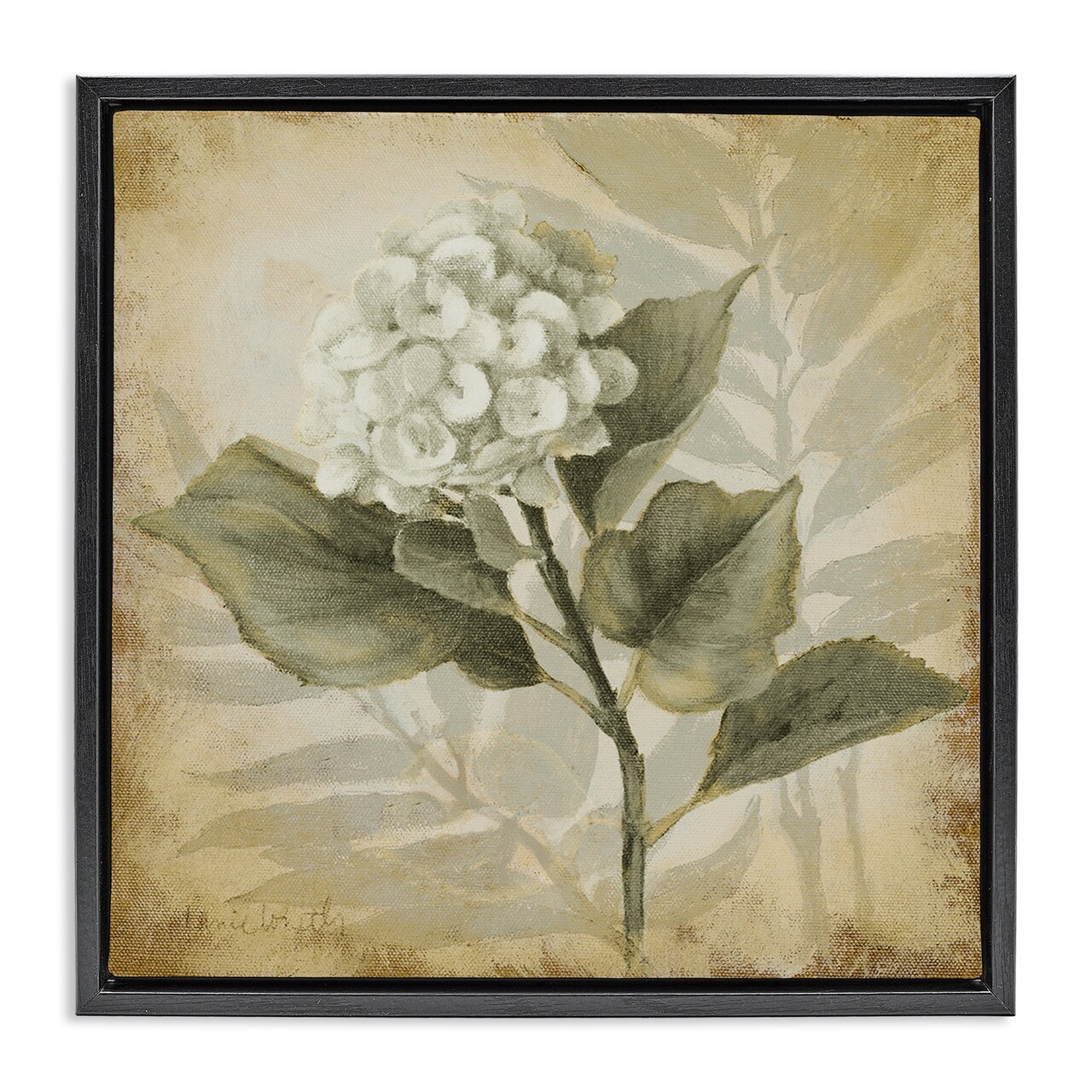 Stupell Industries Aubergine Hydrangea Impression Framed Floater Canvas Wall Art Design by Lanie Loreth